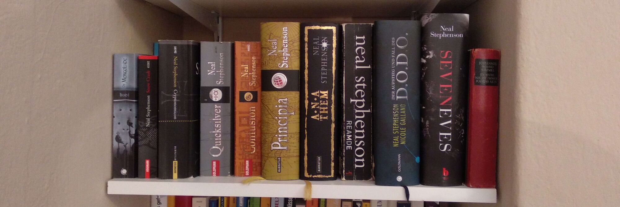 Romane Romane im Bücherregal Übrigens heißt Regal rückwärts Lager und Lagerregeal rückwärts Lagerregal.
