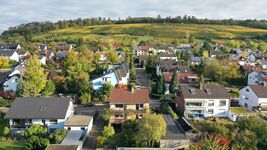 20191016-103903-air.jpg Ansicht aus dem Garten Ruländerweg 6 mit Weinbergen im Hintergrund