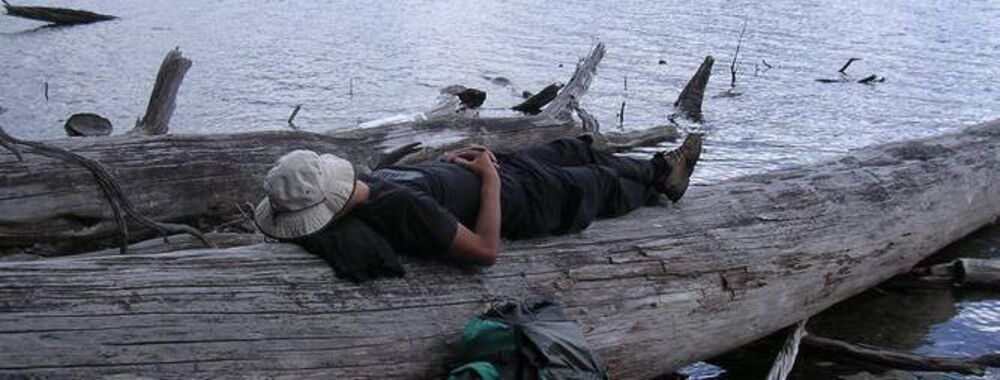 lazy-gerd.jpg lazy-gerd.jpg